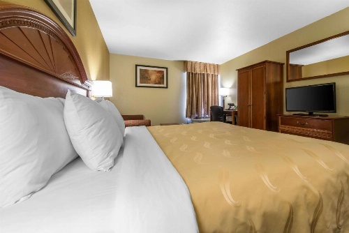 Quality Inn South image 29